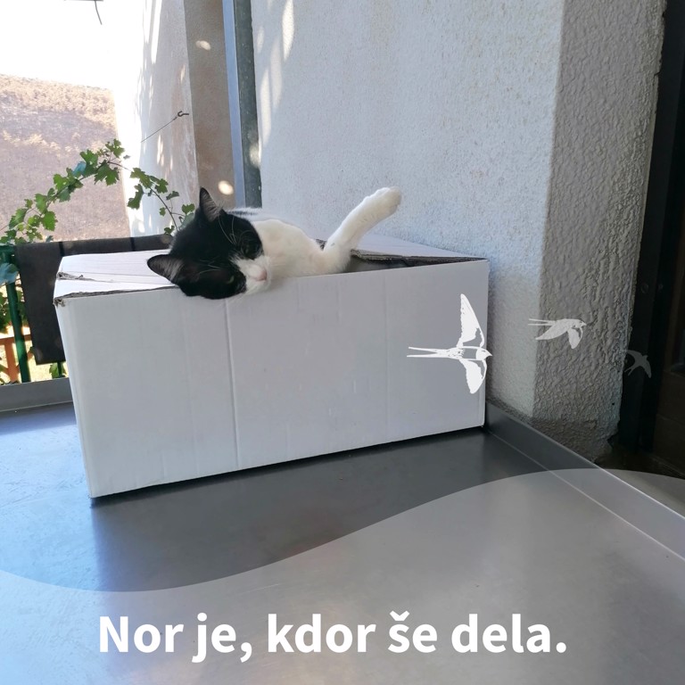 Pridiga