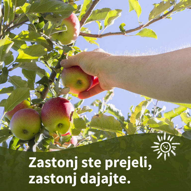 Pridiga