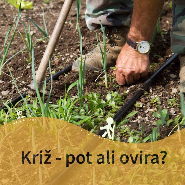 Pridiga